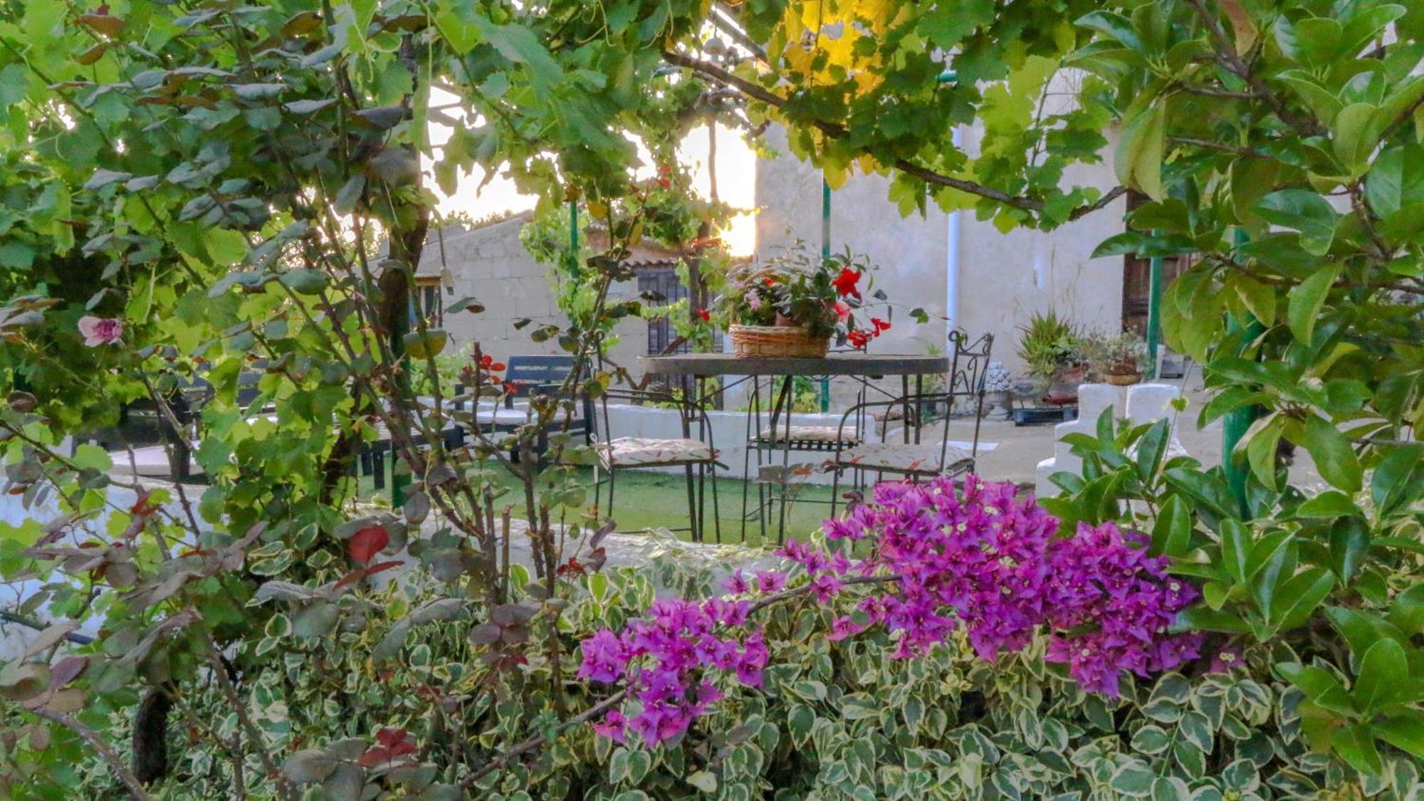 Villa Ferulas โอเลียนา ภายนอก รูปภาพ